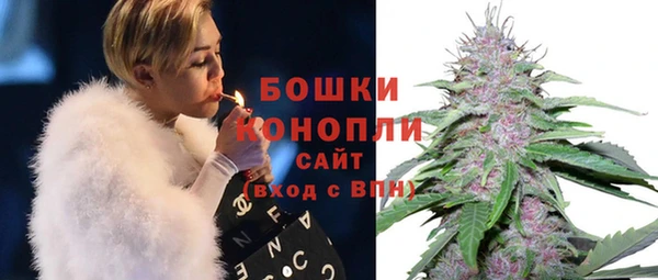 амф Арсеньев