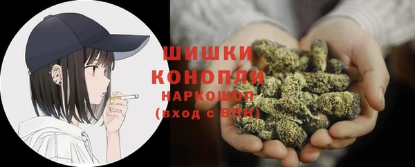 амф Арсеньев