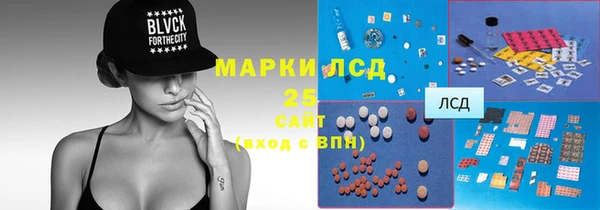 сатива Армянск