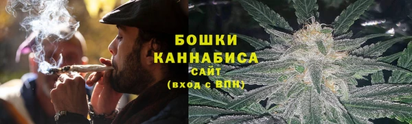сатива Армянск