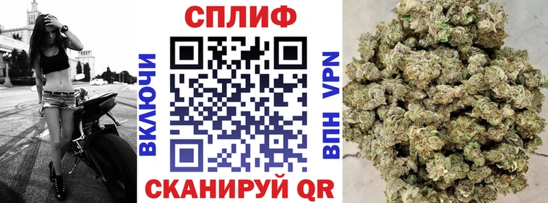OMG зеркало  Бабаево  Бошки Шишки семена 